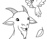 Coloriage Caprin avec l'oiseau