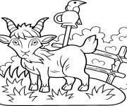 Coloriage Caprin avec un look diff&egrave;rent