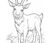 Coloriage Caprin ch&egrave;vre avec des belles yeux cp