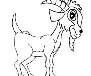 Coloriage Caprin curieux