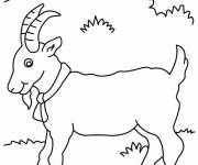 Coloriage Caprin dans la foret