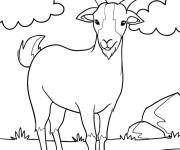 Coloriage Caprin dans la nature