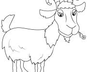 Coloriage Caprin dr&ocirc;le