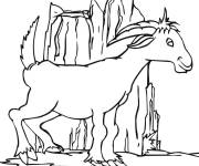 Coloriage Caprin dr&ocirc;le cp