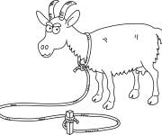 Coloriage Caprin dr&ocirc;le style cartoon
