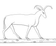 Coloriage Caprin &eacute;gyptienne