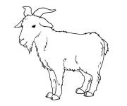 Coloriage et dessins gratuit Caprin envahi par la fourrure à imprimer