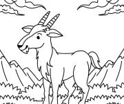 Coloriage Caprin et sc&egrave;ne naturel