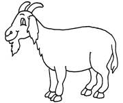 Coloriage Caprin facile