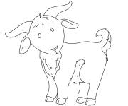 Coloriage Caprin gratuit