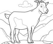 Coloriage Caprin montagneux GS
