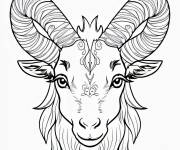Coloriage Caprin vue de face