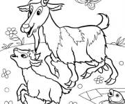 Coloriage Ch&egrave;vre avec sa m&egrave;re dans la nature