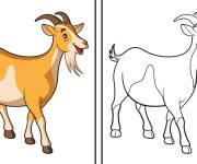 Coloriage Ch&egrave;vre caprin avec mod&egrave;le en couleur
