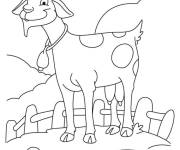 Coloriage Ch&egrave;vre debout souriante