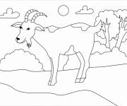 Coloriage Ch&egrave;vre dessin&eacute;e &agrave; la main