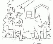 Coloriage Ch&egrave;vre dessin&eacute;e avec le crayon