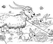 Coloriage Ch&egrave;vre et animaux dr&ocirc;les