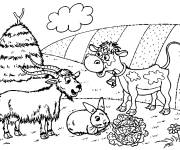 Coloriage Ch&egrave;vre et animaux mignons