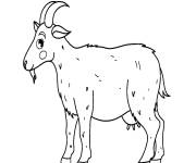 Coloriage Ch&egrave;vre l'animal