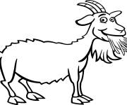 Coloriage Ch&egrave;vre l'animal superbe