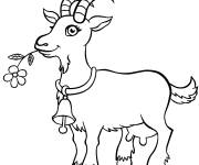 Coloriage Ch&egrave;vre mignonne avec une fleur