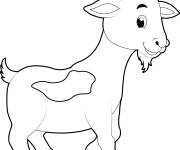 Coloriage Ch&egrave;vre stylis&eacute; en vecteur