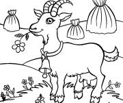 Coloriage Ch&egrave;vre sur gazon