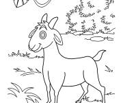 Coloriage Ch&egrave;vre sur l'herbe