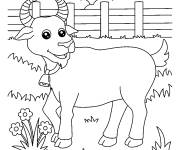 Coloriage et dessins gratuit Ch&egrave;vre sur l'herbe en riant à imprimer