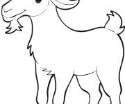 Coloriage Colorie le caprin facile