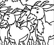 Coloriage Des Caprins en groupe