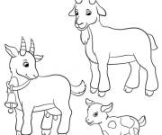 Coloriage des petits ch&egrave;vres en beaut&eacute;