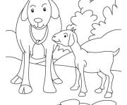 Coloriage Famille caprins pour enfants