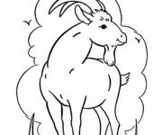 Coloriage Illustration des ch&egrave;vre en maternelle