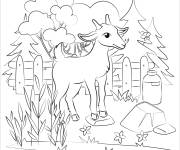 Coloriage Image de caprin devant les arbres