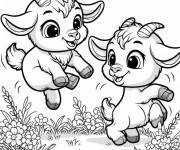 Coloriage Les deux caprins en s'amusant dans la nature