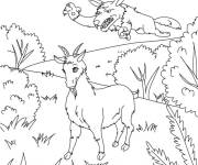 Coloriage Loup en attaquant le caprin