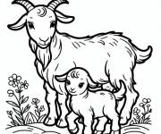 Coloriage Maman ch&egrave;vre et son fils