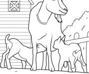 Coloriage M&egrave;re ch&egrave;vre avec des b&eacute;b&eacute;s