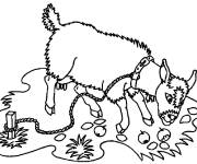 Coloriage P&acirc;turage dans le pr&eacute;