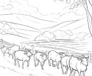 Coloriage Paysage avec des ch&egrave;vres