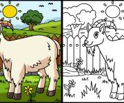 Coloriage Paysage de ch&egrave;vre de ferme avec mod&egrave;le
