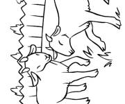 Coloriage Petits Caprins de ferme