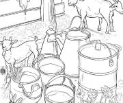 Coloriage Processus de traite des ch&egrave;vres
