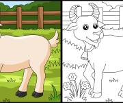 Coloriage Sc&egrave;ne de ch&egrave;vre en nature avec mod&egrave;le