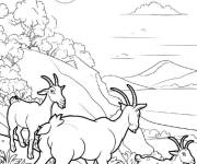 Coloriage Soir&eacute;e avec les ch&egrave;vres