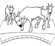 Coloriage Trois caprins sur le pont