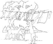 Coloriage et dessins gratuit Troupeau de ch&egrave;vre maladroits à imprimer