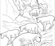 Coloriage Troupeau des Caprins en haut attitude
